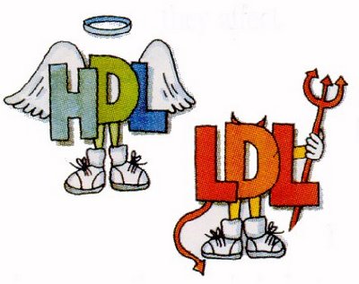 HDL-LDL colesterolul