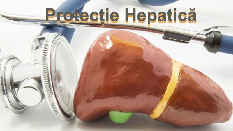protectie hepatica